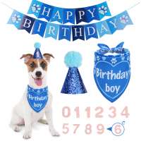 Pet birthday accessory  for pet birthday party